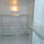 ミヤマクワガタの冷蔵庫での飼育方法とは？