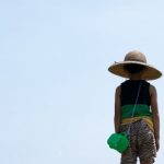 ニジイロクワガタの採集、スポットについて